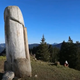 Imagen para el artículo titulado Desaparece el pene gigante de madera de apareció hace cuatro años en una montaña de Alemania